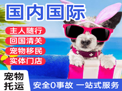 三义机场空运国际宠物托运 【国